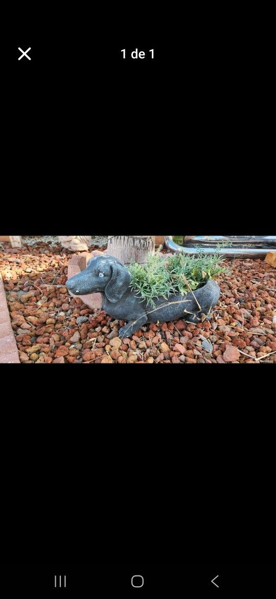Decoración Perro