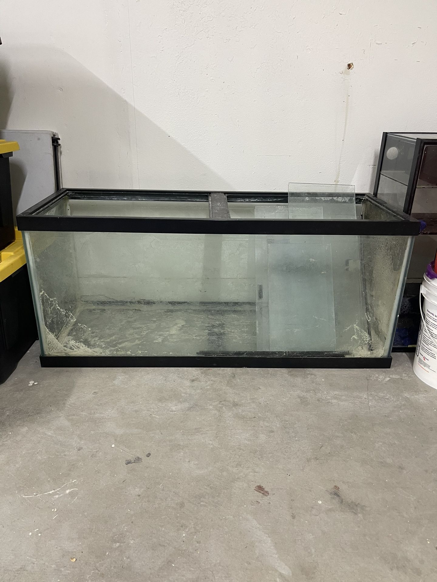 Fish Tank