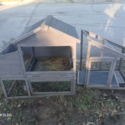 Chicken Coop
