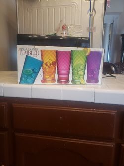 Acrylic Tumbler Set Cups - 10 Piece