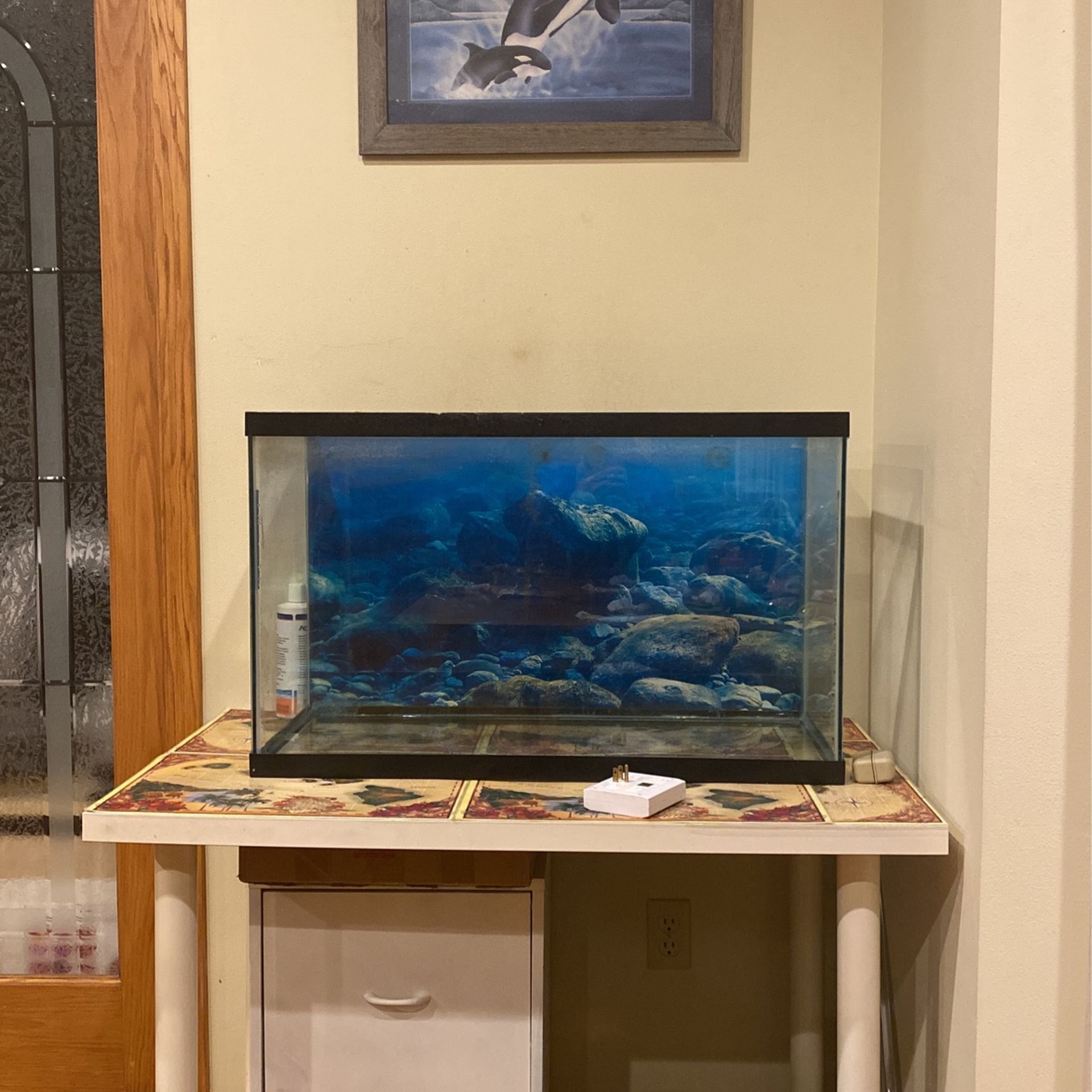 20 Gallon Fish Tank for $10