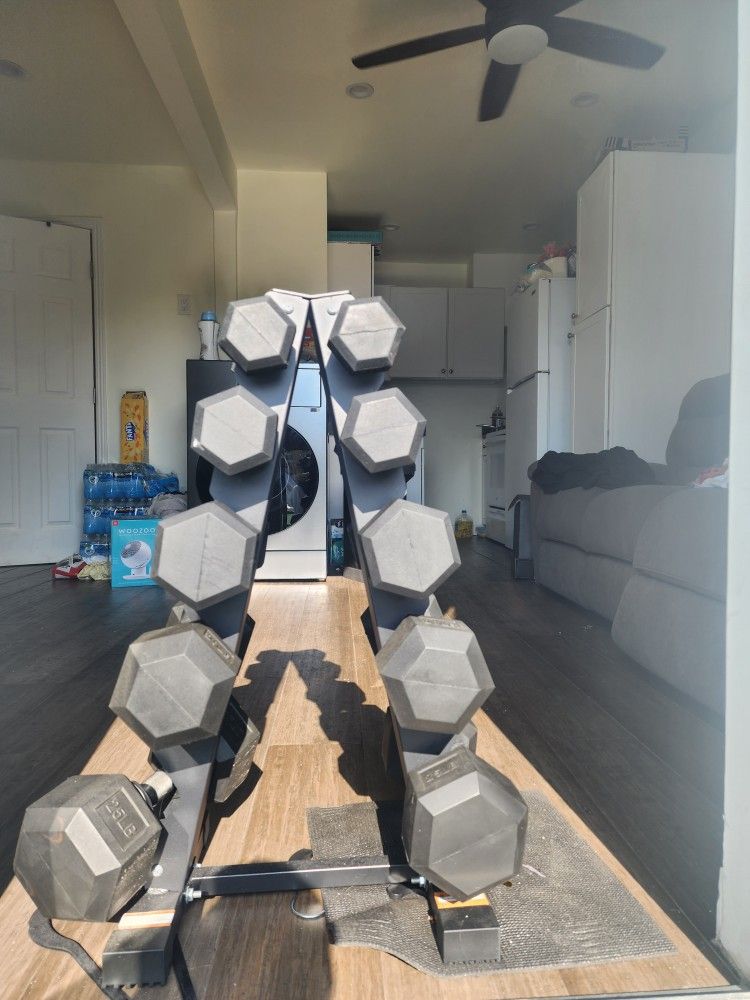 Dumbbell Set with Rack