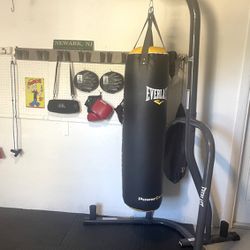 Practically New Punching Bag W Stand