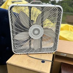 Fan