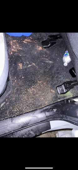 Lavada Para Alfombra 