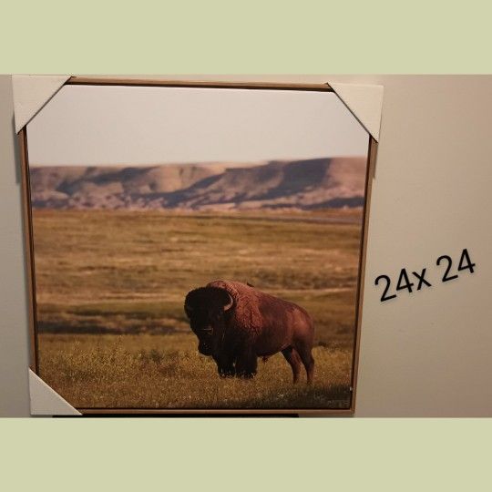 Brand New Art Frame 24 X 24