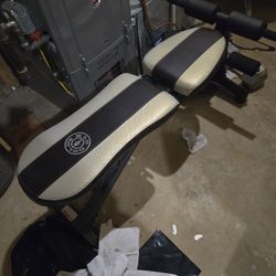 Golds Gym Workout Bench Free