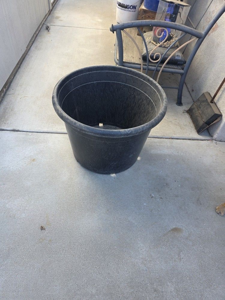Flower Pot