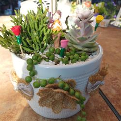 Cutest Ceramic Pot Beautiful Succulents 🎁🧚🌵