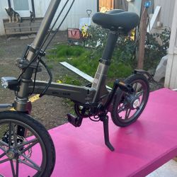 Electric bike