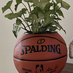 Basketball Planter