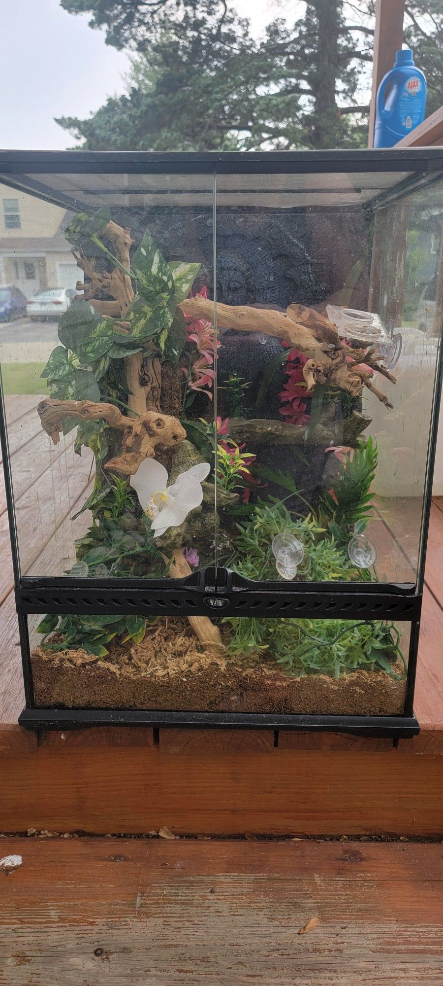 Exo Terra 18x18x24 Terrarium Kit