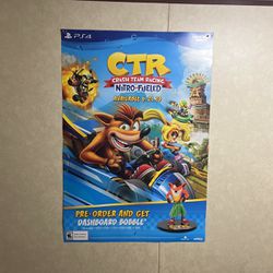Double Sided PS4 Game Poster 