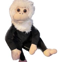 Monkey Doll 