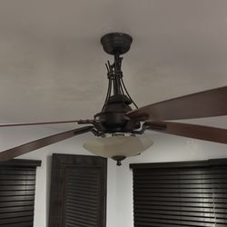 Ceiling fan light
