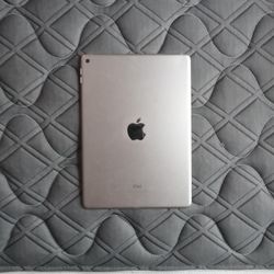 Apple IPad 
