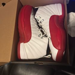 Air jordan Retro 12