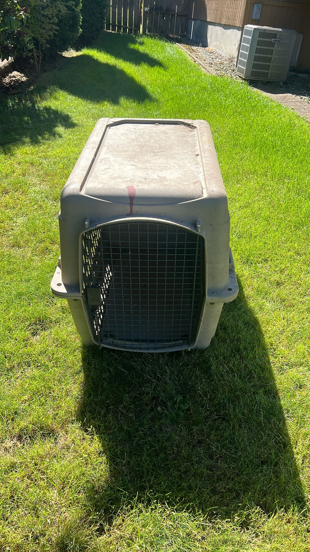 Pet Carrier