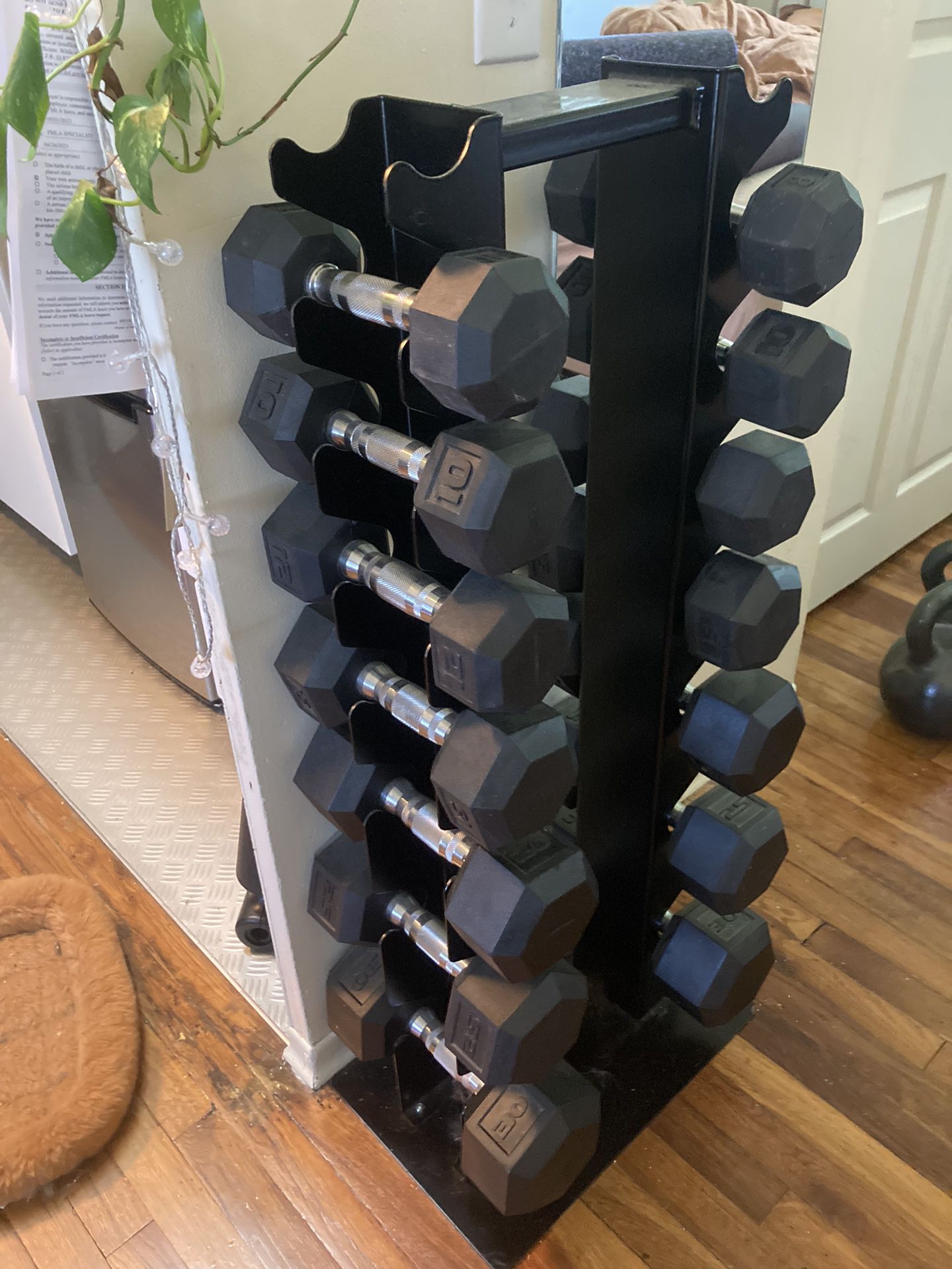 Dumbbells & Stand