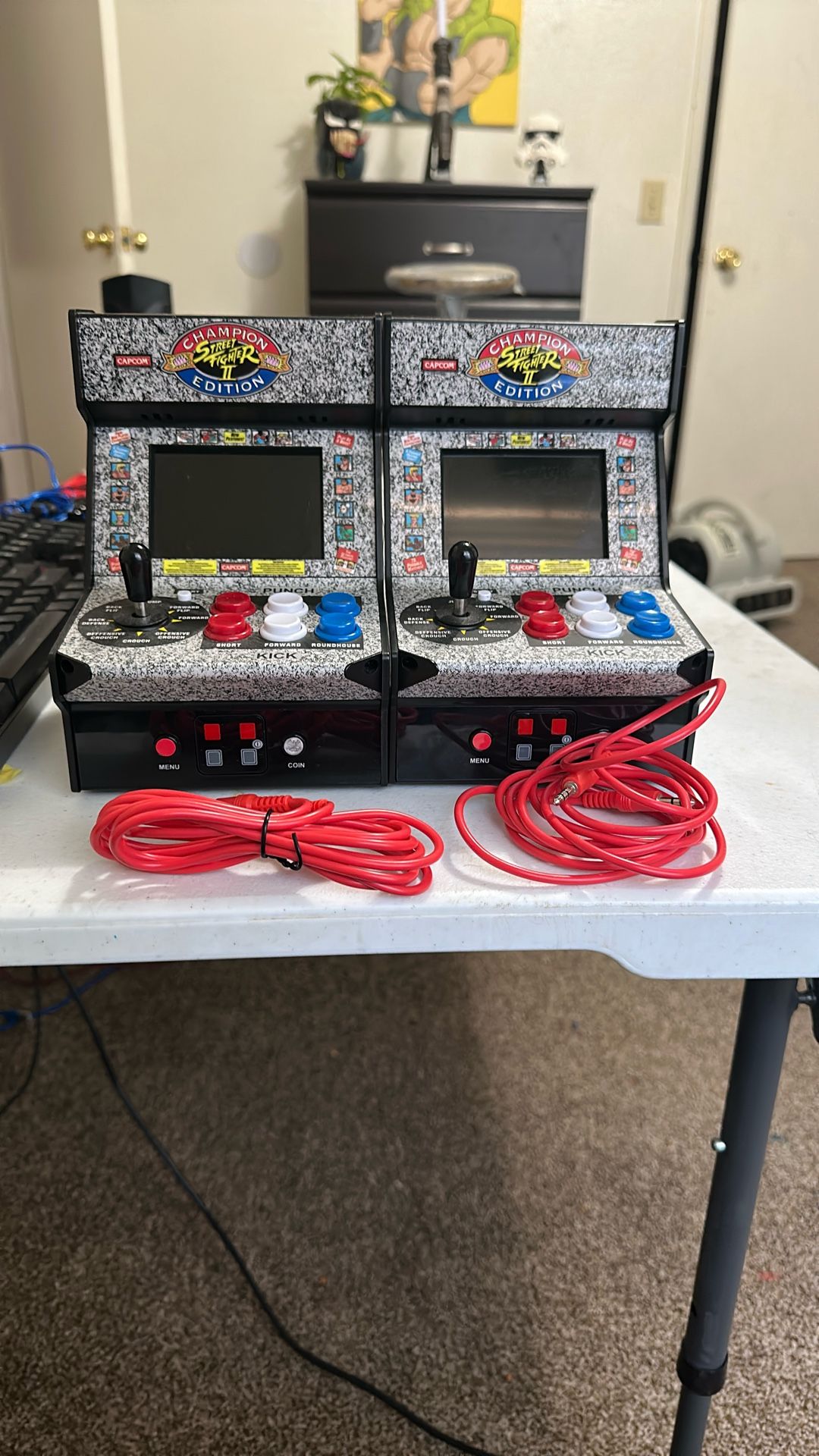 Champion Street Fighter Game