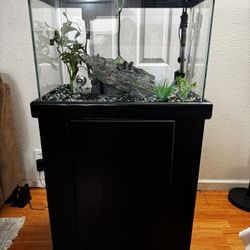20Gallon Fish Tank With Stand 