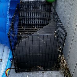 Dog Kennel