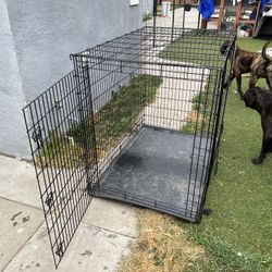 XL Dog Kennel 