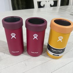 Hydroflask Cooler Cups 