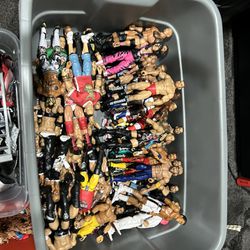 Wrestling Figure Collection
