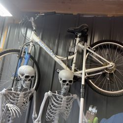 Women’s Schwinn bike