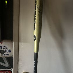 Demarini Bustos Softball Bat