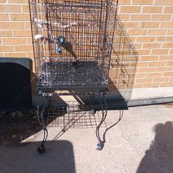 Bird Cage