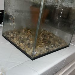 Fish / Reptile Tank - 2.5 Gallon, With Protective Foam