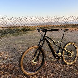 Specialized Turbo Levo FSR 6Fattie/29 Mountain E-Bike XL