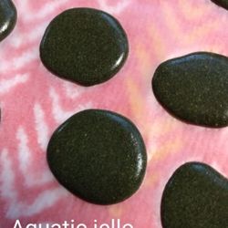 Fish, Jello Food, and Plants