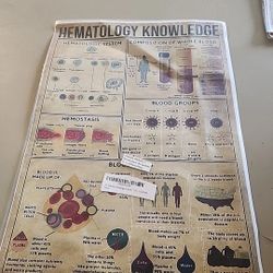 Hematology Knowledge Poster