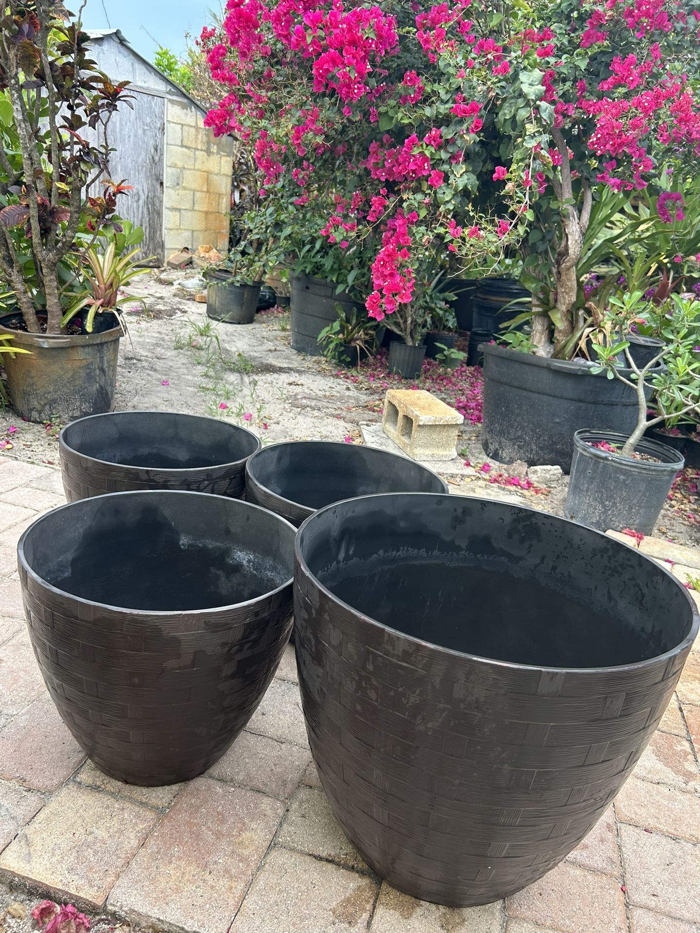 Flower Pot