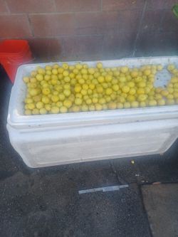 Limones