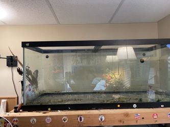 75 gallon
