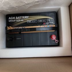 2 Group 65 AMG Batteries 