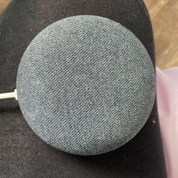 Google Speaker 