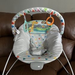 Bouncer, Sit/Spin Chair- Booster Seat, Tummy Time Mat, Bassinet