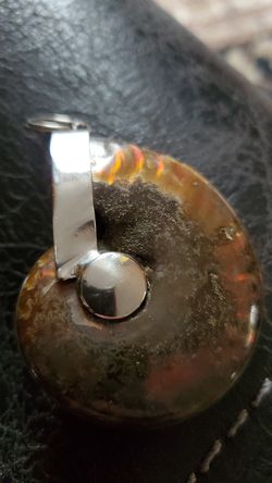 Fossil pendant