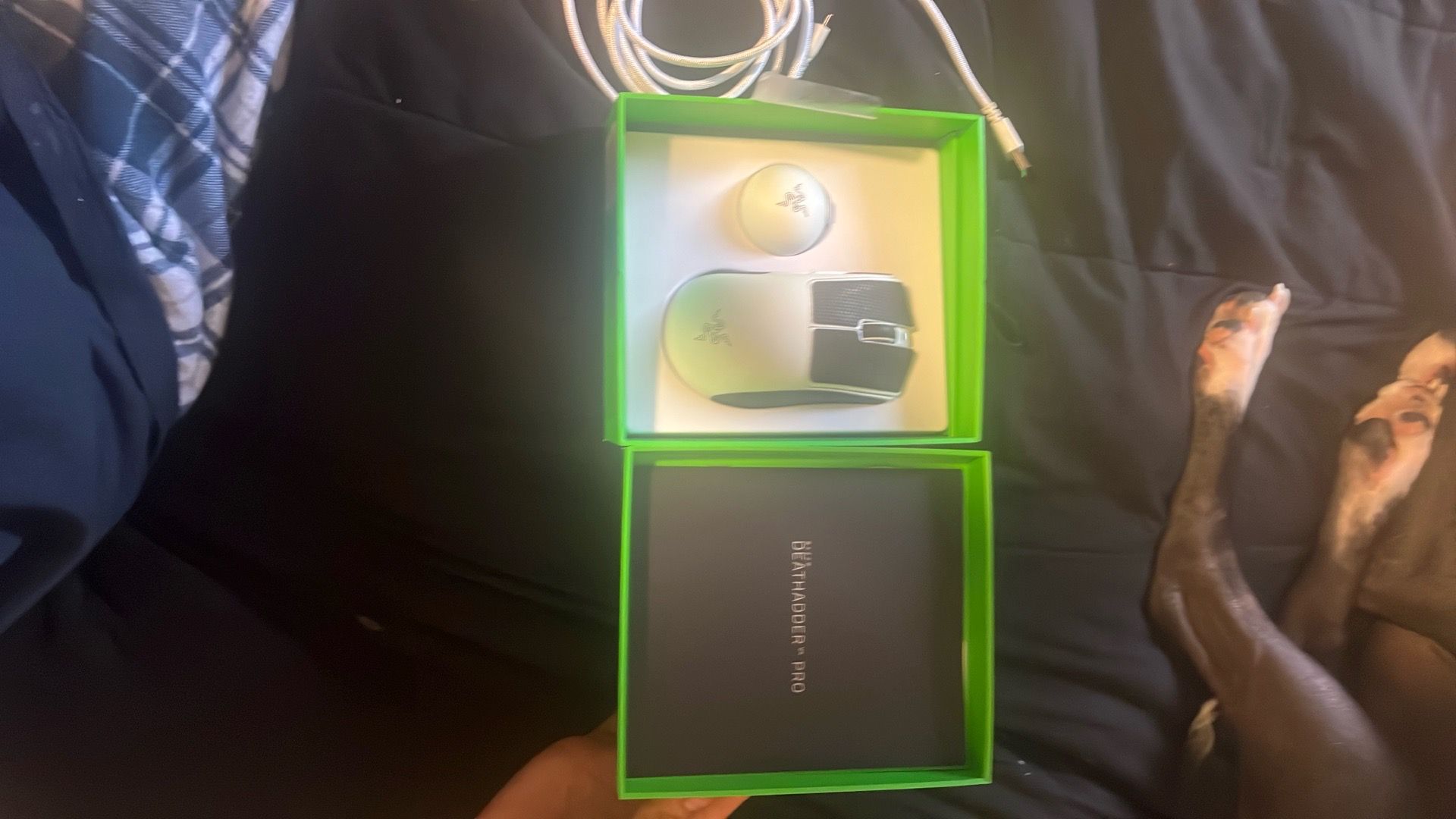 Razer DEATHADDER V4 PRO