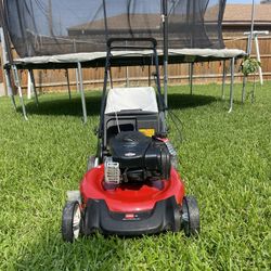 Recycler 21 in. Briggs and Stratton Low Wheel RWD Gas Walk Behind Self Propelled Lawn Mower with Bagger