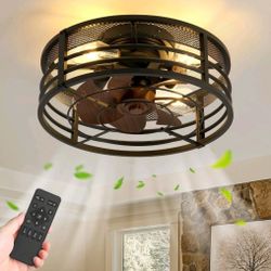 Caged Ceiling Fan With Lights And Remote