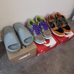 Shoe lot Yeezy Slide Nike Dunk