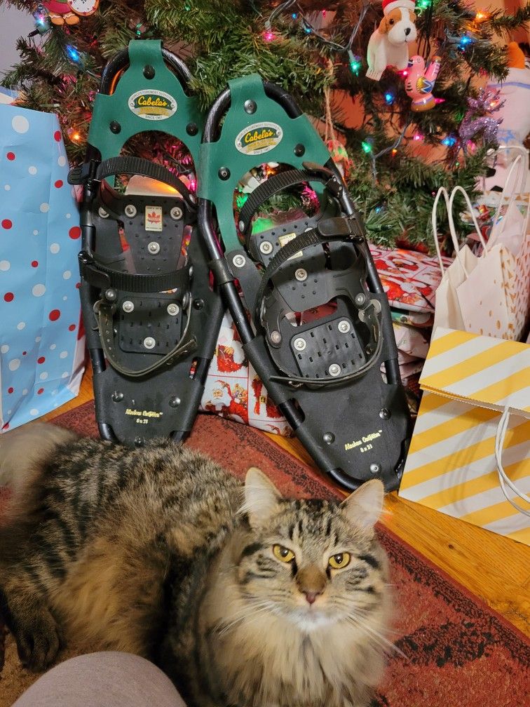Cabelas Alaskan Outfitter Snowshoes 8×21