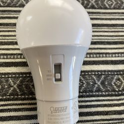 Adjustable Light Bulb