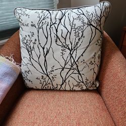 4 Sofa Cushions Contemporary